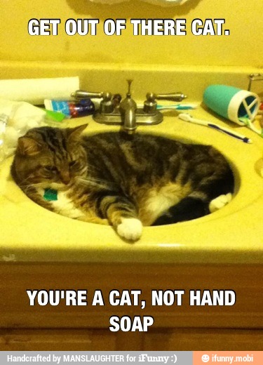 YOU'RE A CAT, NOT HAND
SOAP