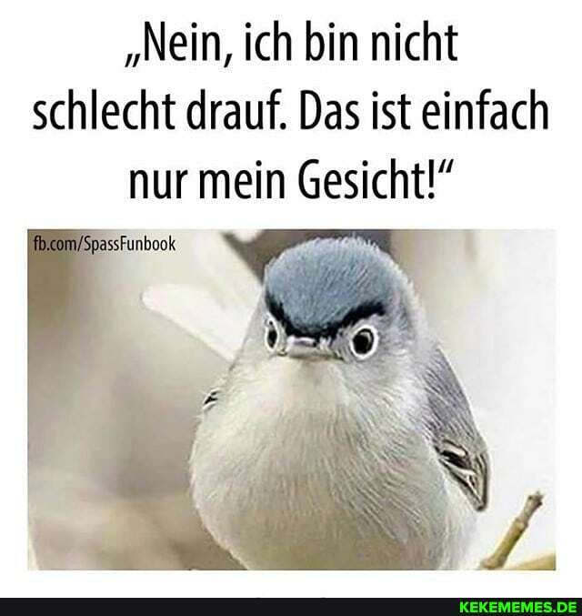 "Nein, ich bin nicht schlecht drauf. Das ist einfach nur mein Gesicht!"