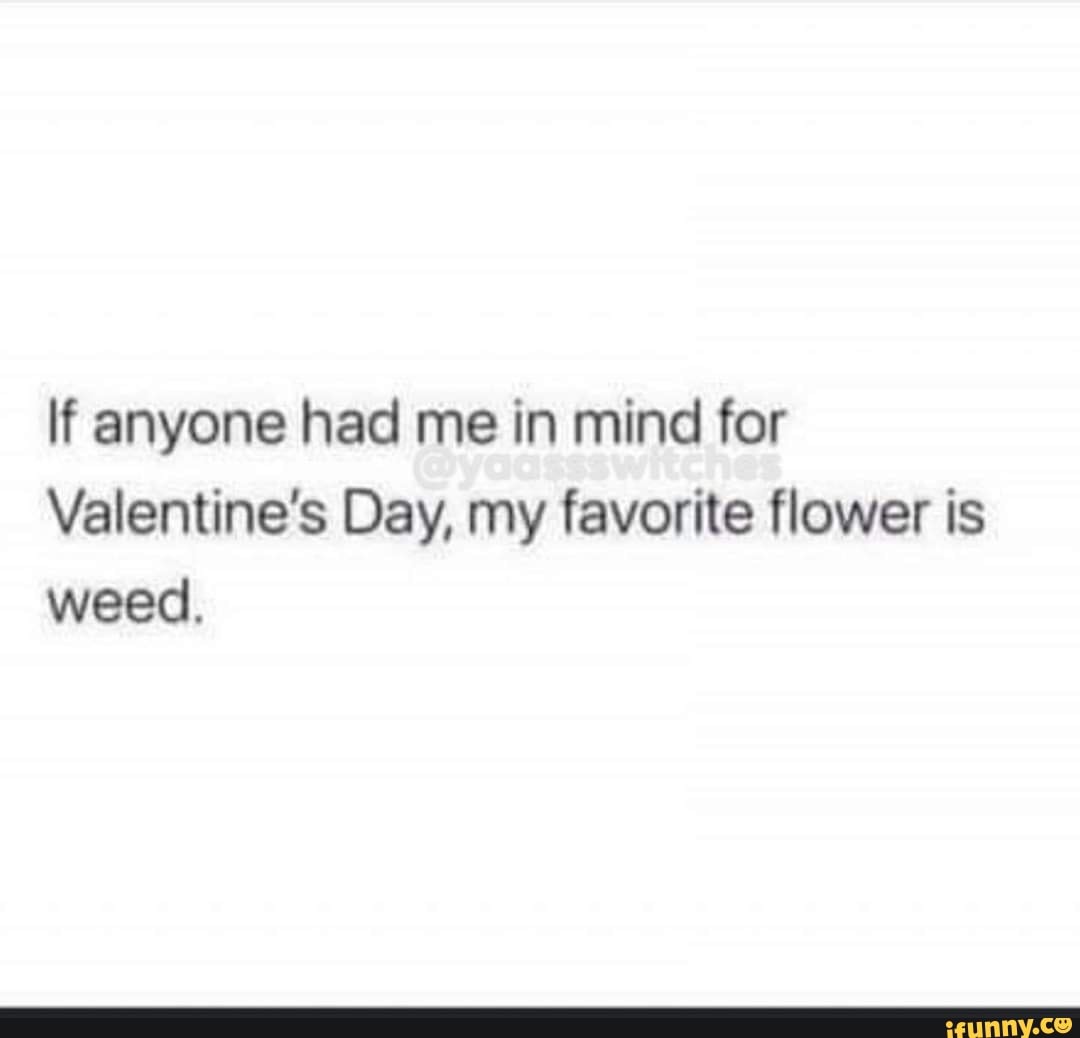 If anyone had me in mind for Valentine's Day, my favorite flower is