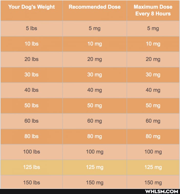 Your Dog's Weight Recommended Dose Maximum Dose
Every 8 Hours
lbs
10 bs 10 mg 10 mg
20 20 mg 20 mg
30 bs 30 mg 30 mg
40 mg 40 .mg
50 bs 50 mg 50 mg
60 mg 60 mg
80 Ibs 80 mg 80 mg
100 100 mg 100 mg
125 Ibs 125 mg 125 mg
ma ma