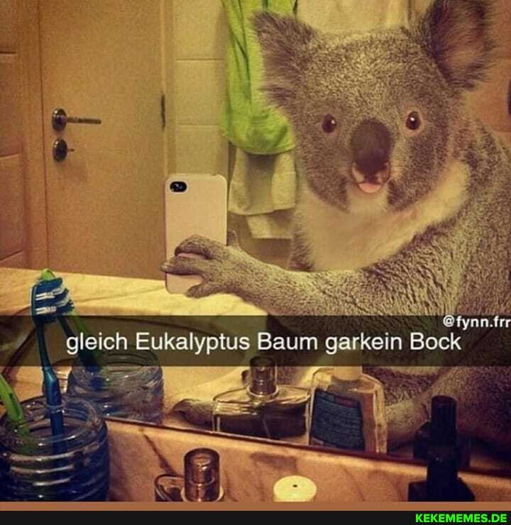 ak
eich Eukalyptus Baum