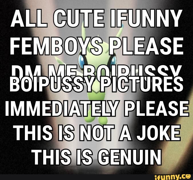 All Cute Ifunny Please Boipussy Pictures Immediately Please This Is Not A Joke This Is Genuin