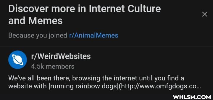 Discover more in Internet Culture and Memes
Because you joined
Weird Websites
4 members
We've all been there, browsing the internet until you find a website with [running rainbow //www omfadogs co__