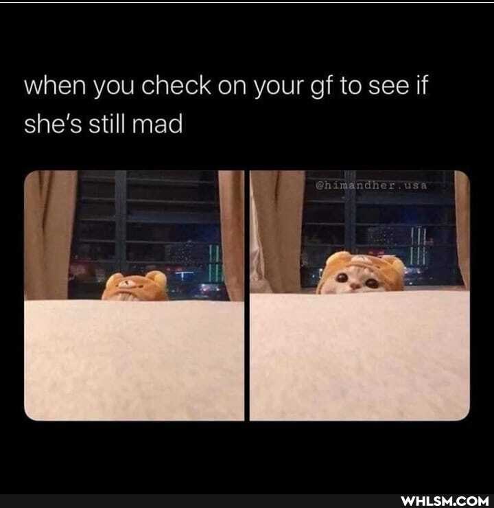 when you check on your gf to see if she's still mad