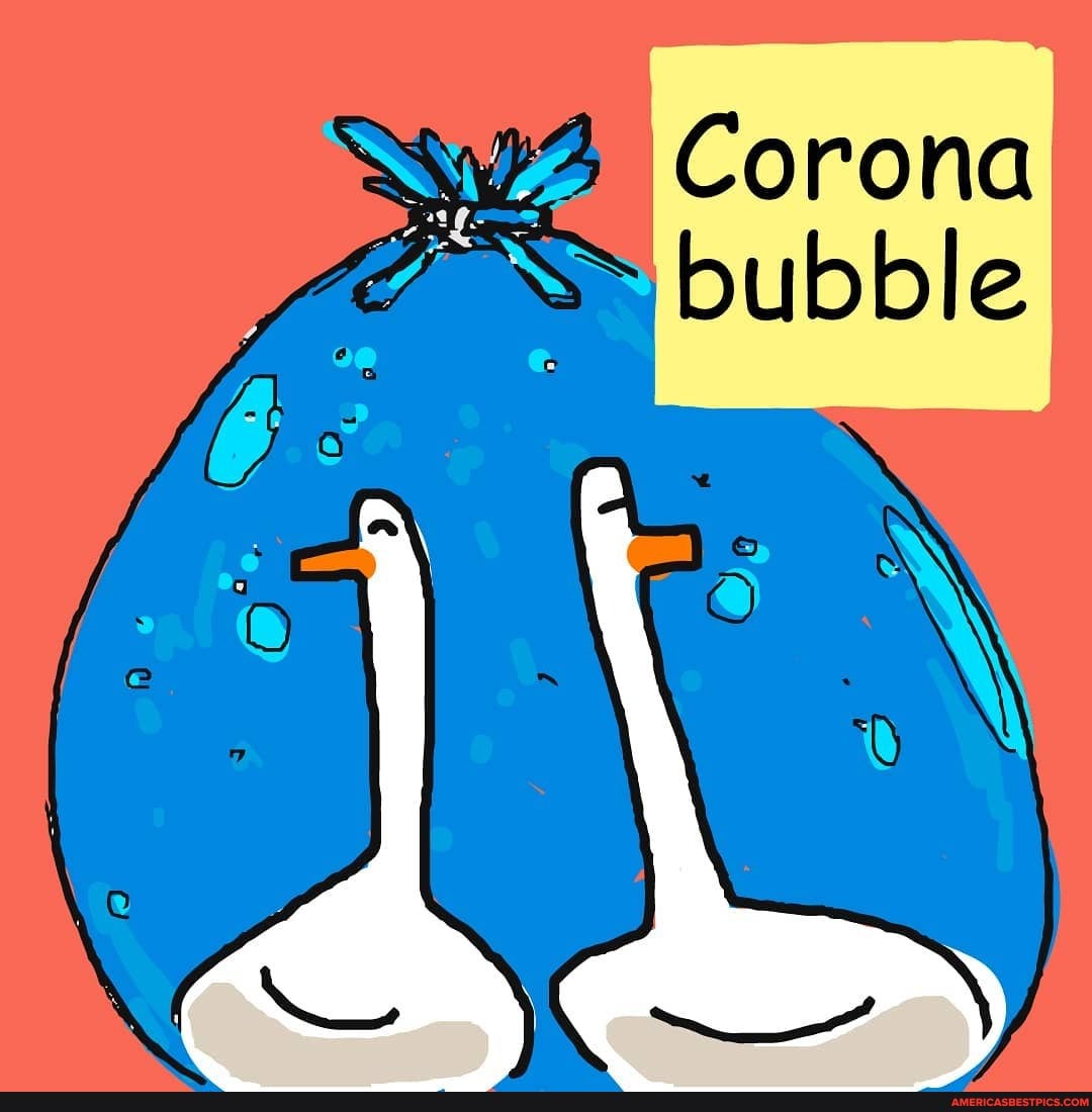 NZ Corona bubble
