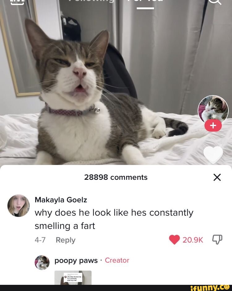 28898 comments Makayla Goelz why does he look like hes constantly