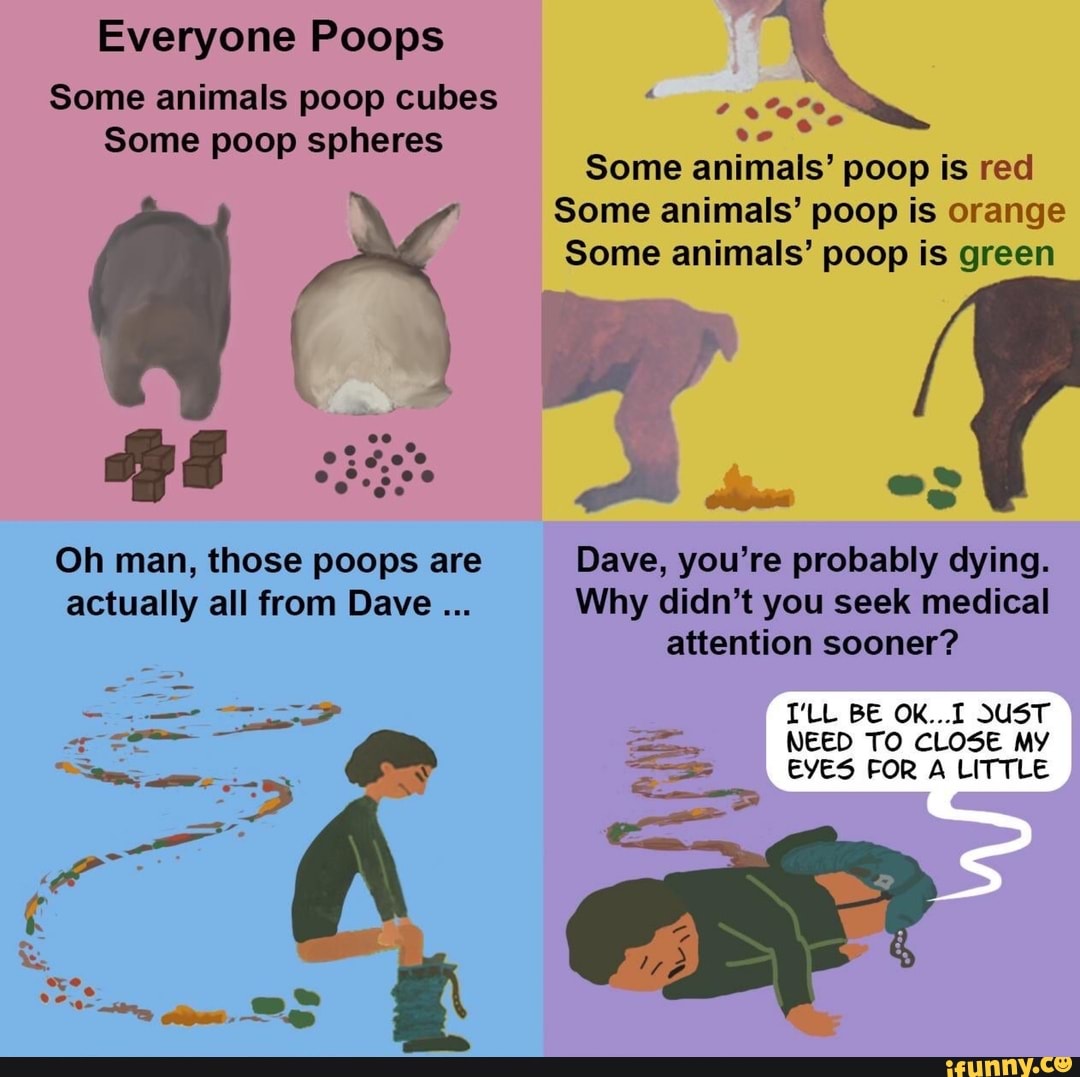 Everyone Poops Some animals poop cubes Some poop spheres poop SP Some