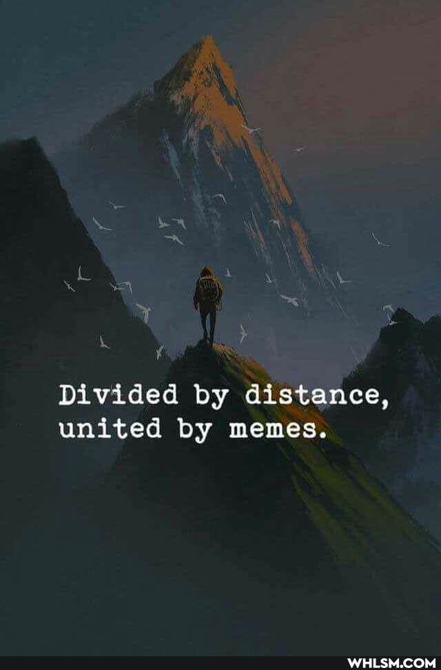 Divided by distance, united by memes.