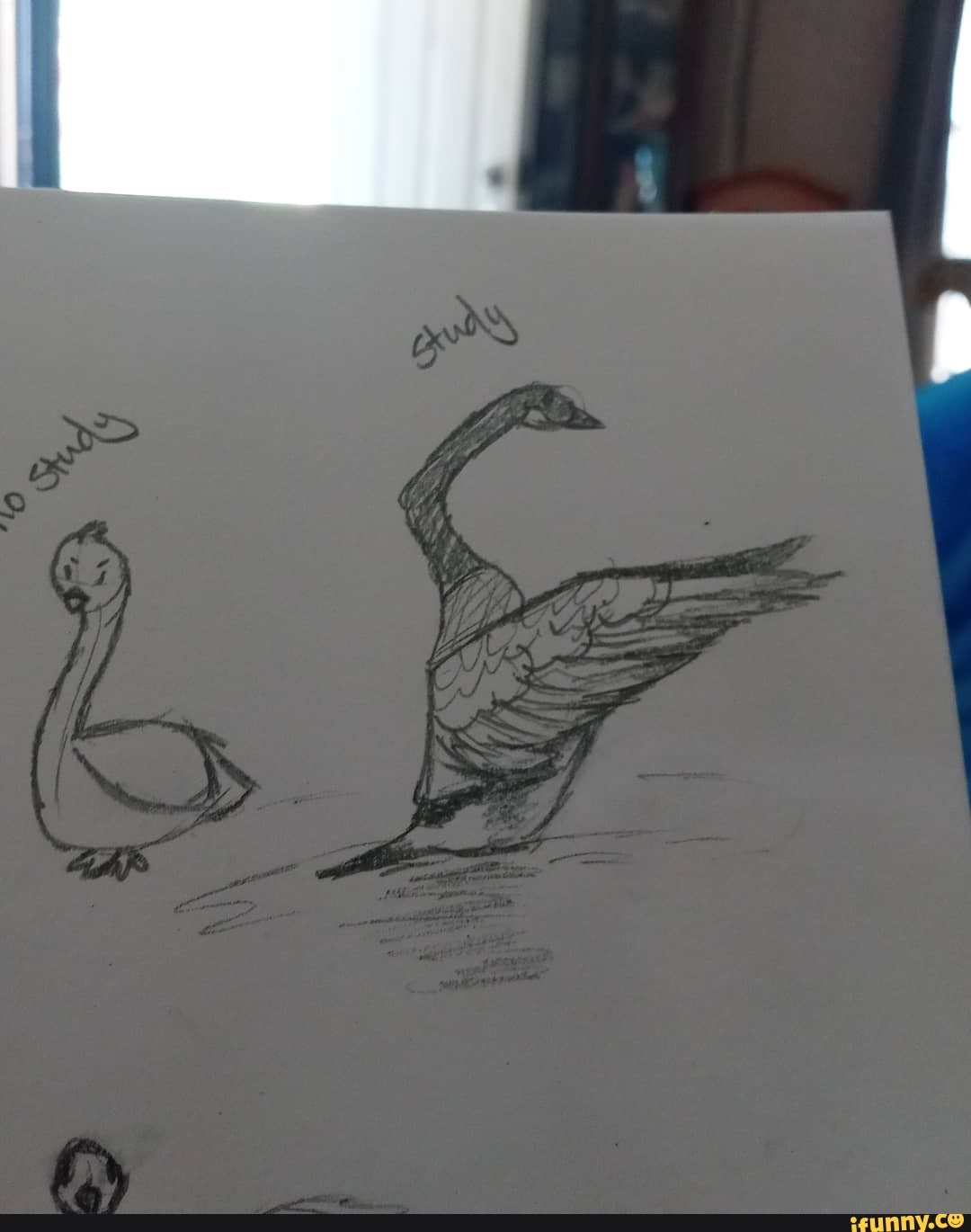 art, animals
