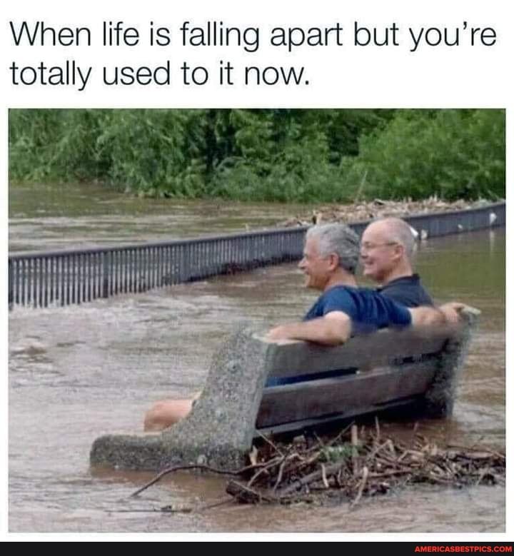 When life is falling apart but you're totally used to it now.
AP