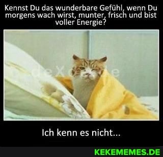 Kennst Du das wunderbare Gefühl, wenn Du morgens wach wirst, munter, frisch und bist voller Energie?
Ich kenn es nicht...