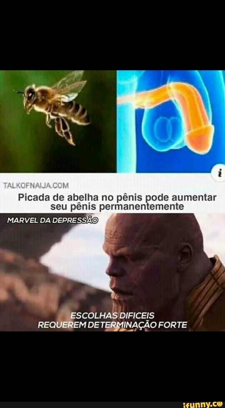 Picada de abelha no pênis pode aumentar seu pênis permanentemente
MARVEL DA DEPRESSÃO)
ESCOLHAS DIFICEIS
REQUEREM DETERMINAÇÃO FORTE