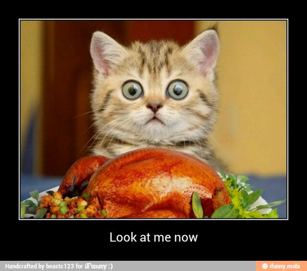 Phe
Look at me now - Look at me now