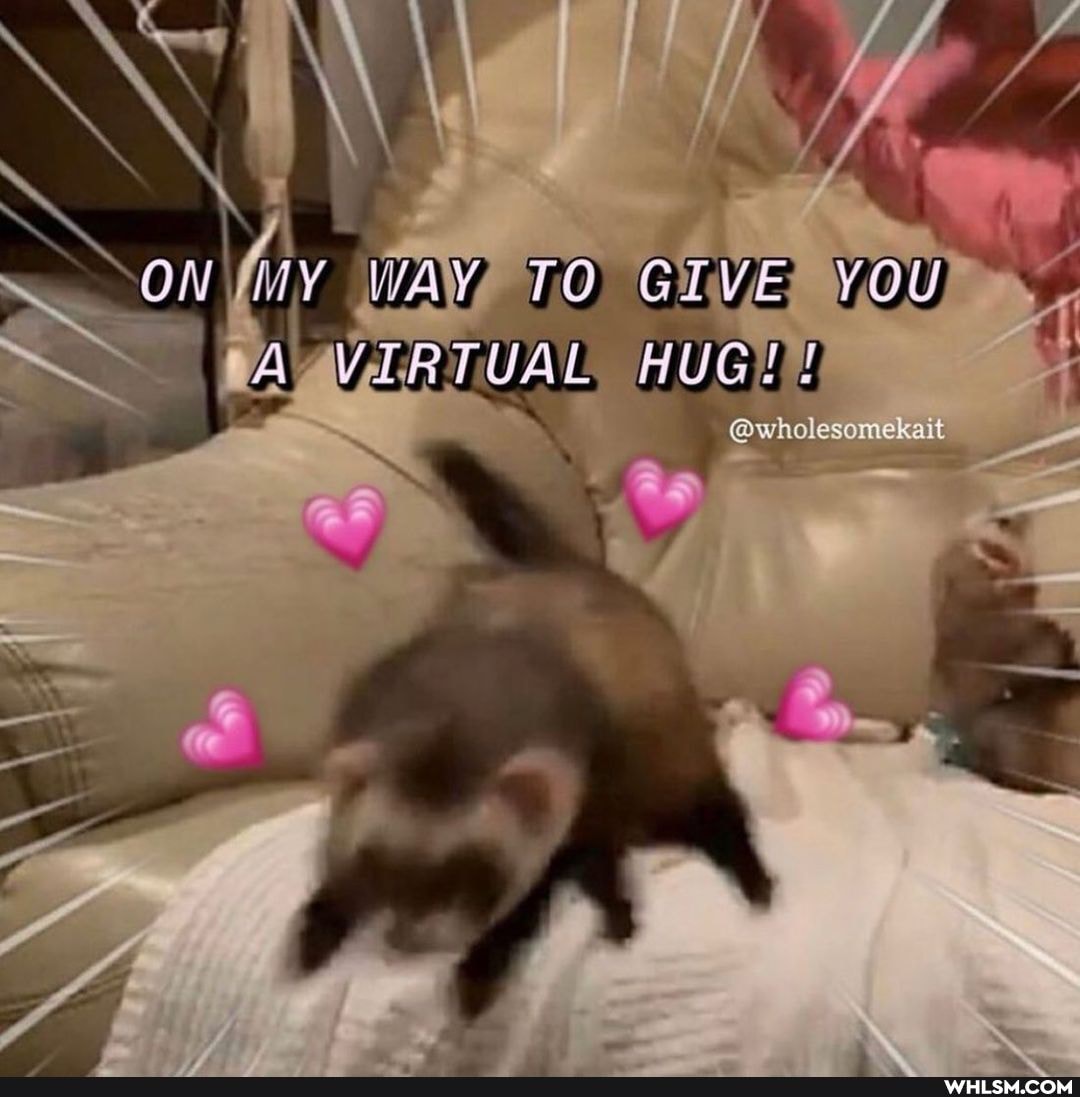SS \
ON WAY YOU
& VERTUAL, HUGE
@wholesomekait
