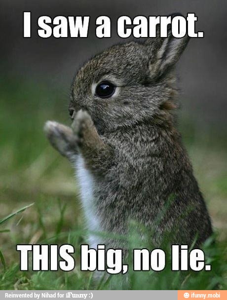 Isaw a carrot.
a
THIS big, no lie.