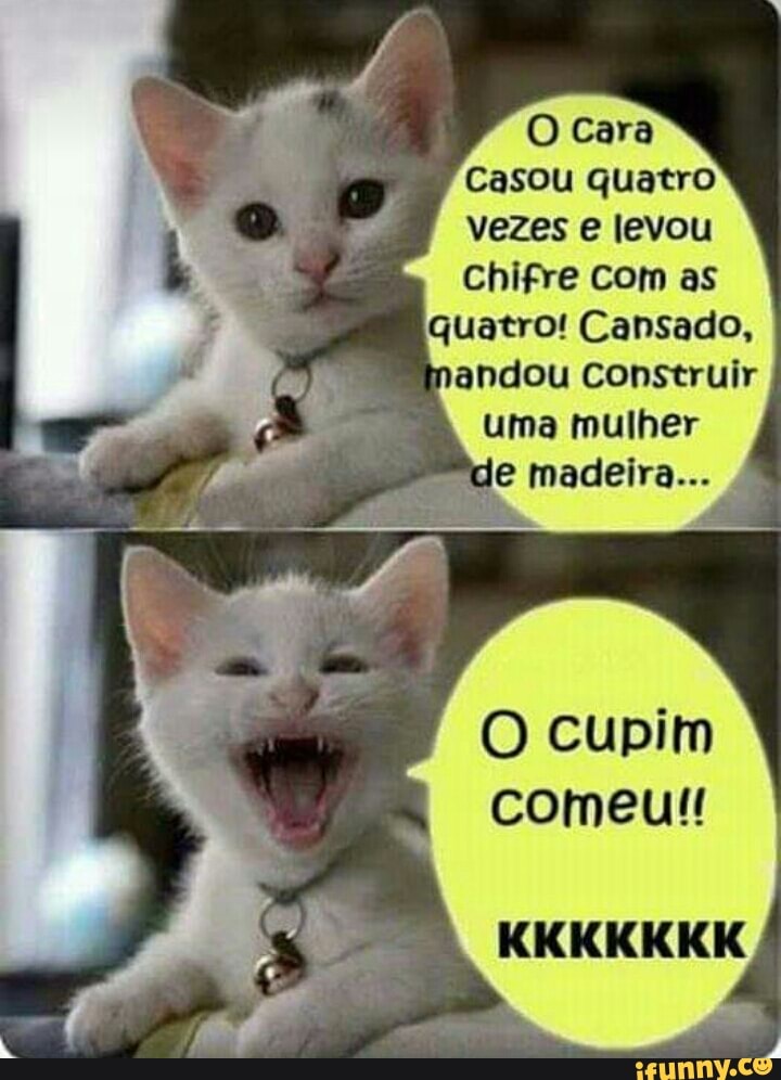 Casou quatro
vezes e levou
Chifre com as
quatro! Cansado,
andou construir
uma mulher
O cupim
comeu!!
