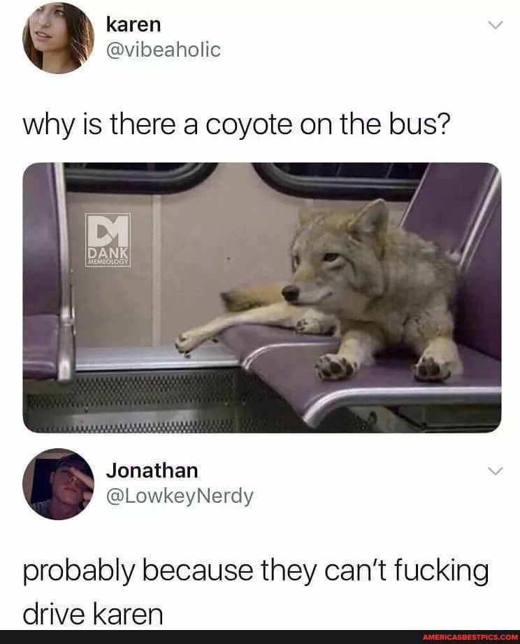why is there a coyote on the bus?
fy
probably because they can't fucking drive karen