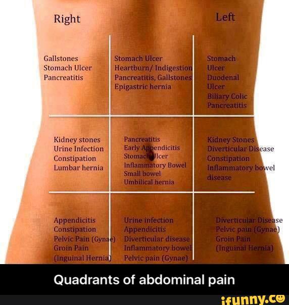 Right Quadrants of abdominal pain - Quadrants of abdominal pain - )