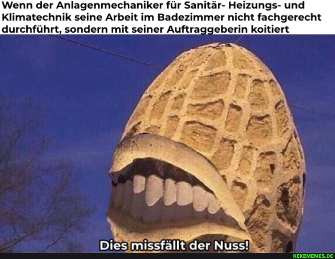 Wenn der Anlagenmechaniker für Sanitär- Heizungs- und
Klimatechnik seine Arbeit im Badezimmer nicht fachgerecht
durchführt, sondern mit seiner Auftraggeberin koitiert
Mine
