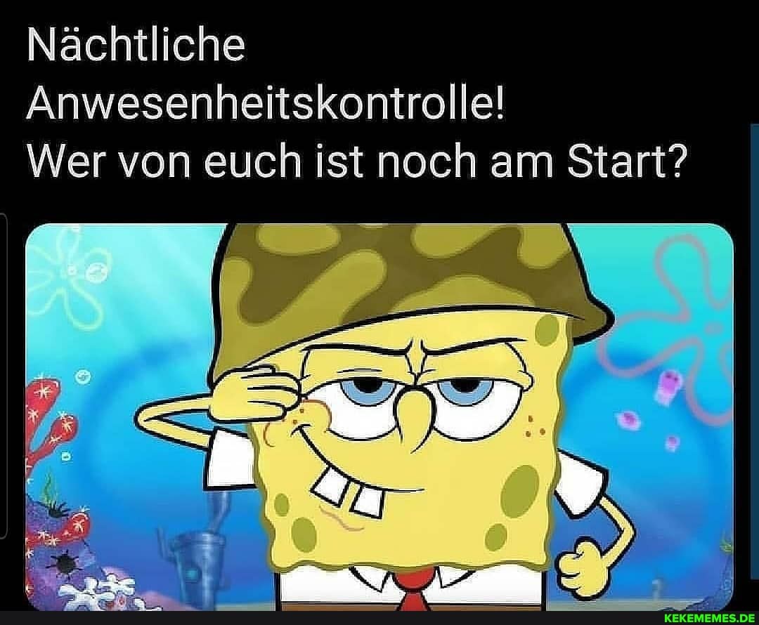Nächtliche
Anwesenheitskontrolle!
Wer von euch ist noch am Start?