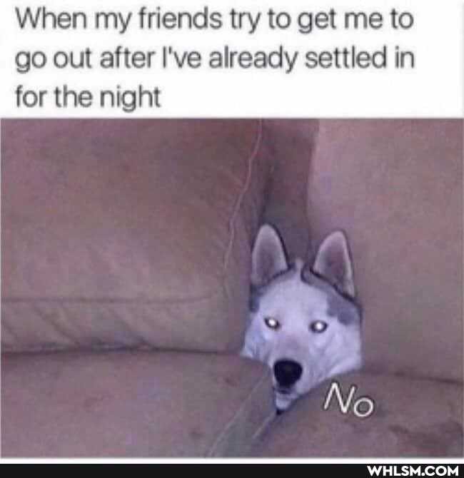 When my friends try to get me to
go out after I've already settled in for the night
No