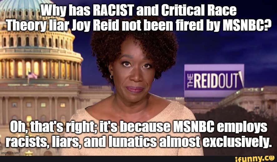 Why has RACIST and Critical Race Theory llar Joy Reid not been fired by ...