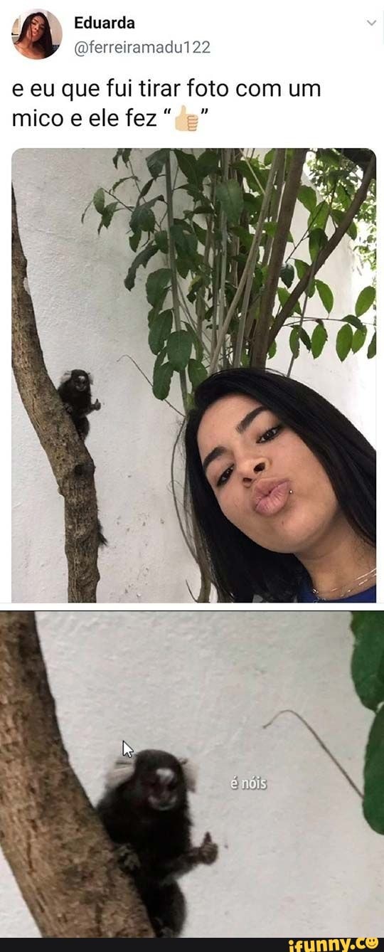 Eduarda
(ferreiramadu122
e eu que fui tirar foto com um mico e ele fez "da"