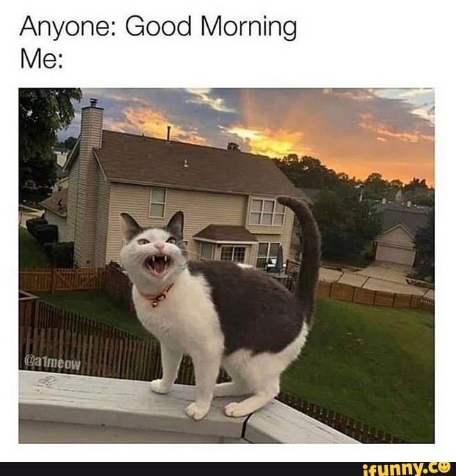Anyone: Good Morning
Me: