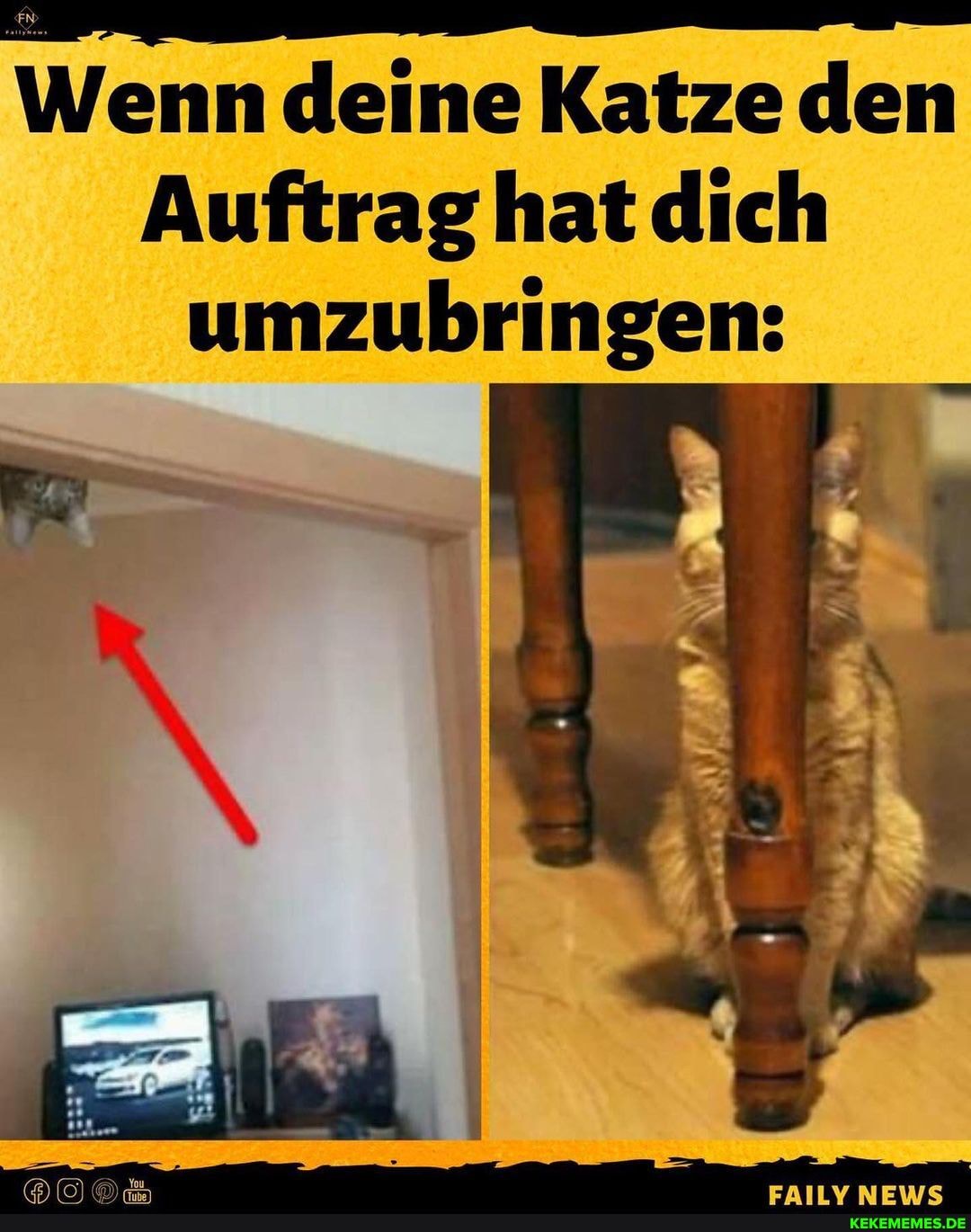 Wenn deine Katze den
Auftrag hat .dich umzubringen: