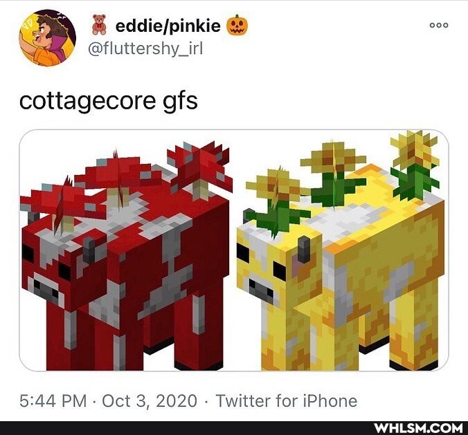 cottagecore gfs
PM Oct 3. 2020 - Twitter for iPhone