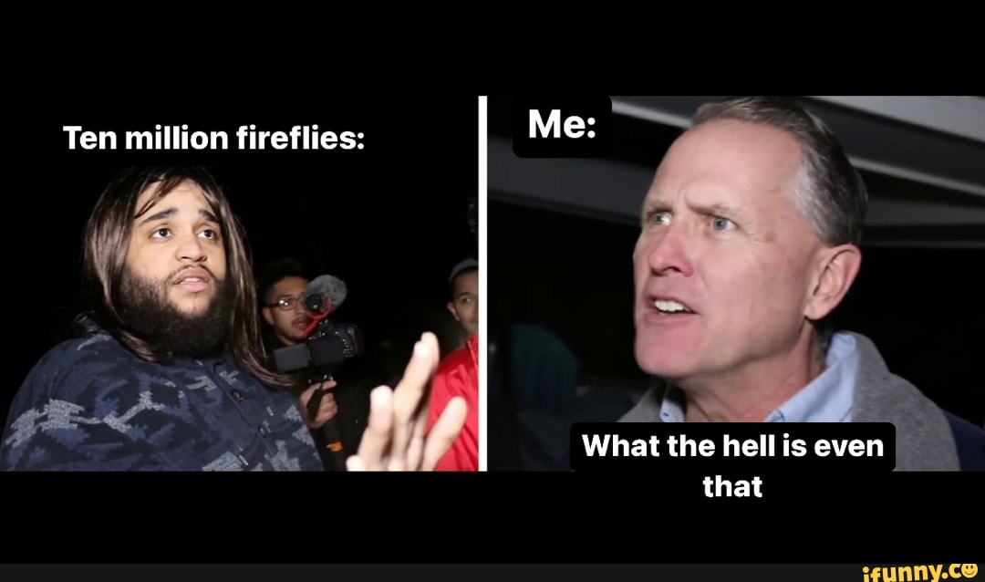 You would not believe your eyes Ten million fireflies Me What the