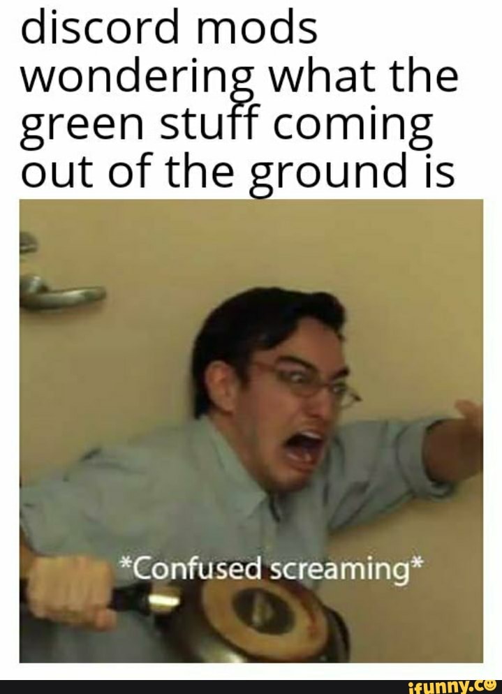 Discord mods what the green stuff coming out of the ground is *Confused screaming* iFunny