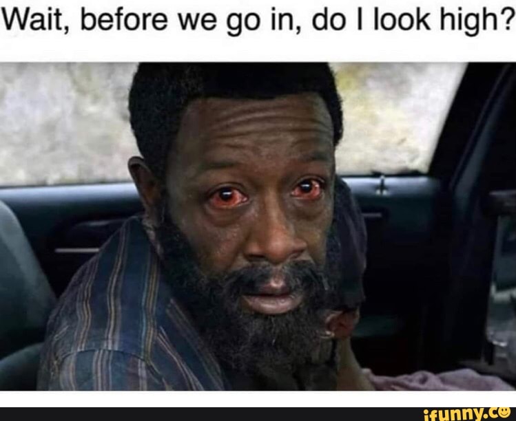 Wait, before we go in, do I look high? - iFunny