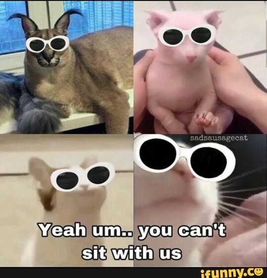 CO
Yeah um.. you can't sit with us