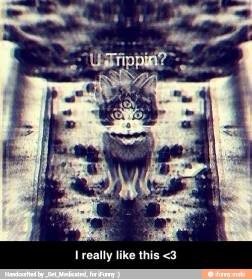I really like this <3 - I really like this <3