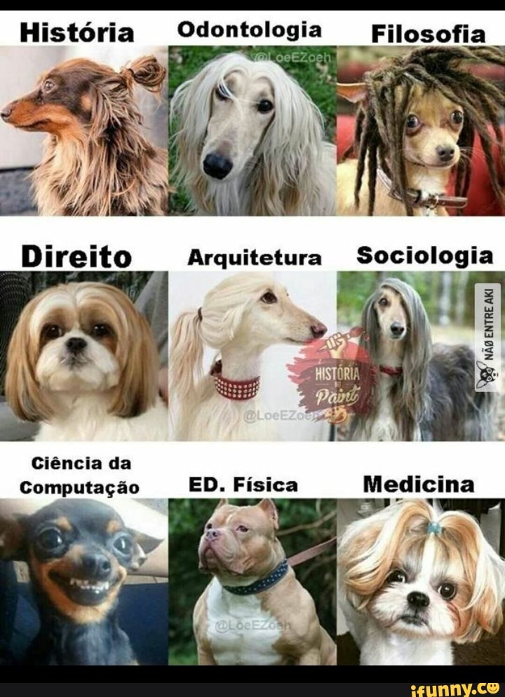 História Odontologia Filosofia
E
esas 7 a
Direito Arquitetura Sociologia
y
Ciéncia da
Computação Medicina
