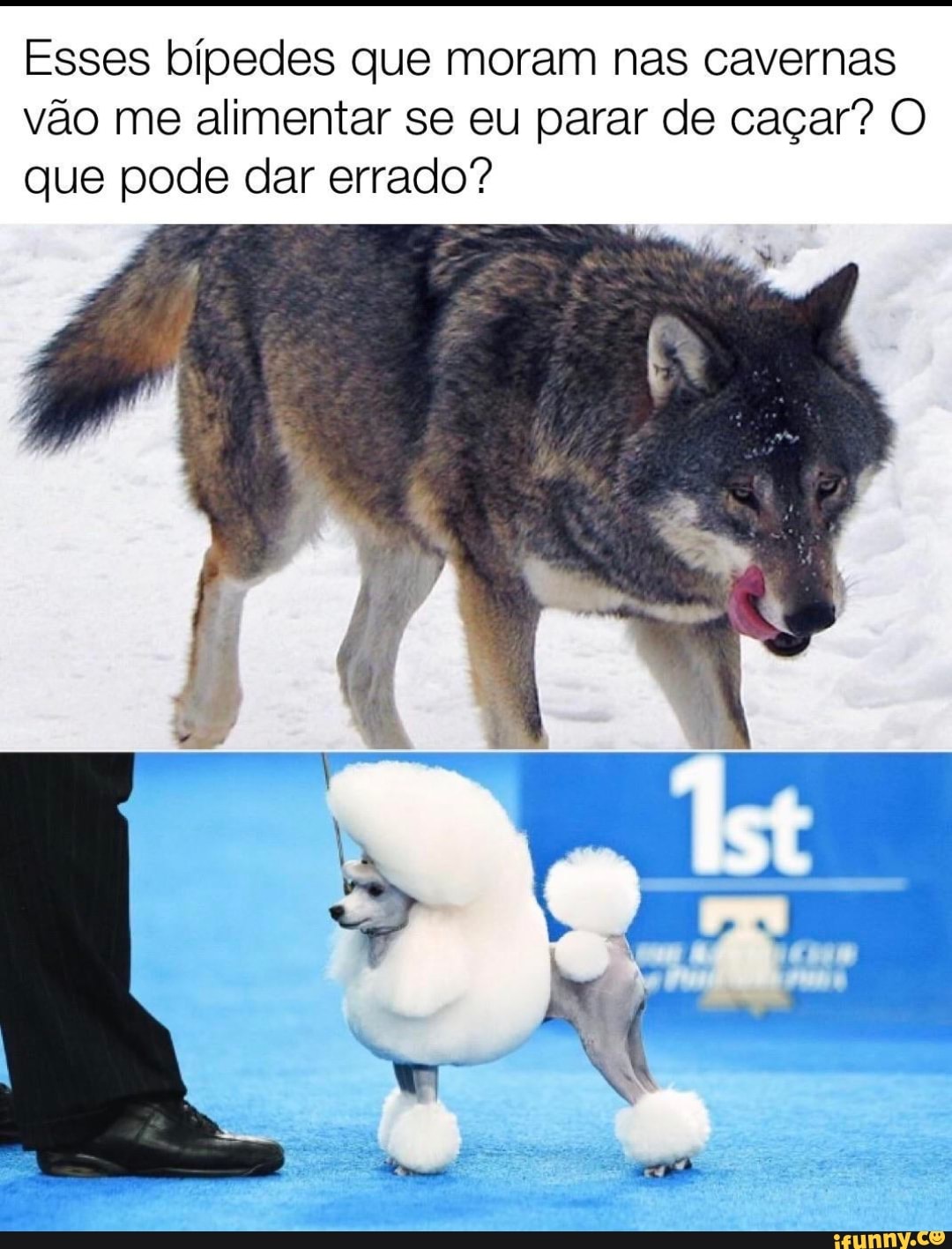Esses bípedes que moram nas cavernas
vão me alimentar se eu parar de caçar? O que pode dar errado?