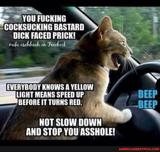 = YOU FUCKING
"COCKSUCKING BASTARD DICK FACED PRICK! mike schbach on Tacebock
KNOWS A YELLOW LIGHT MEANS SPEED UP.
BEFORE IT TURNS RED, -BEEF NOT SLOW DOWN yy
AND STOP.