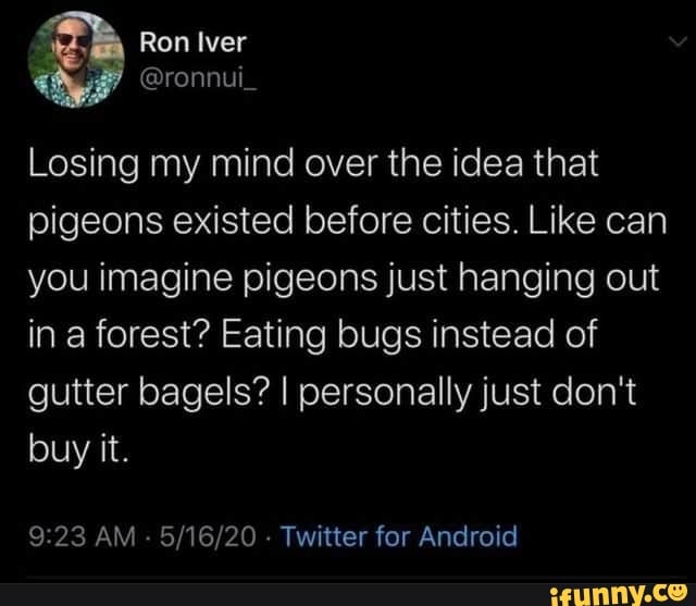 Losing my mind over the idea that
pigeons existed before cities. Like can
you imagine pigeons just hanging out
in a forest? Eating bugs instead of
gutter bagels? I personally just don't
buy it.
9:23 AM
5/16/20
Twitter for Android