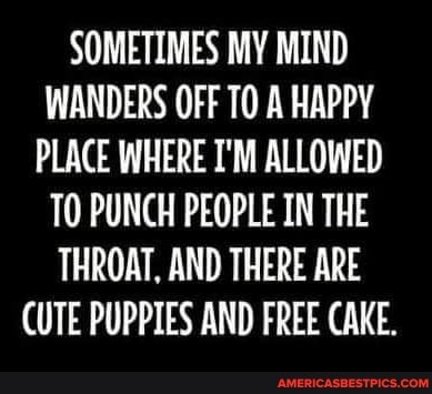 SOMETIMES MY MIND WANDERS OFF A HAPPY PLACE WHERE I'M ALLOWED TO PUNCH PEOPLE IN THE THROAT, AND THERE ARE CUTE PUPPIES AND FREE CAKE.