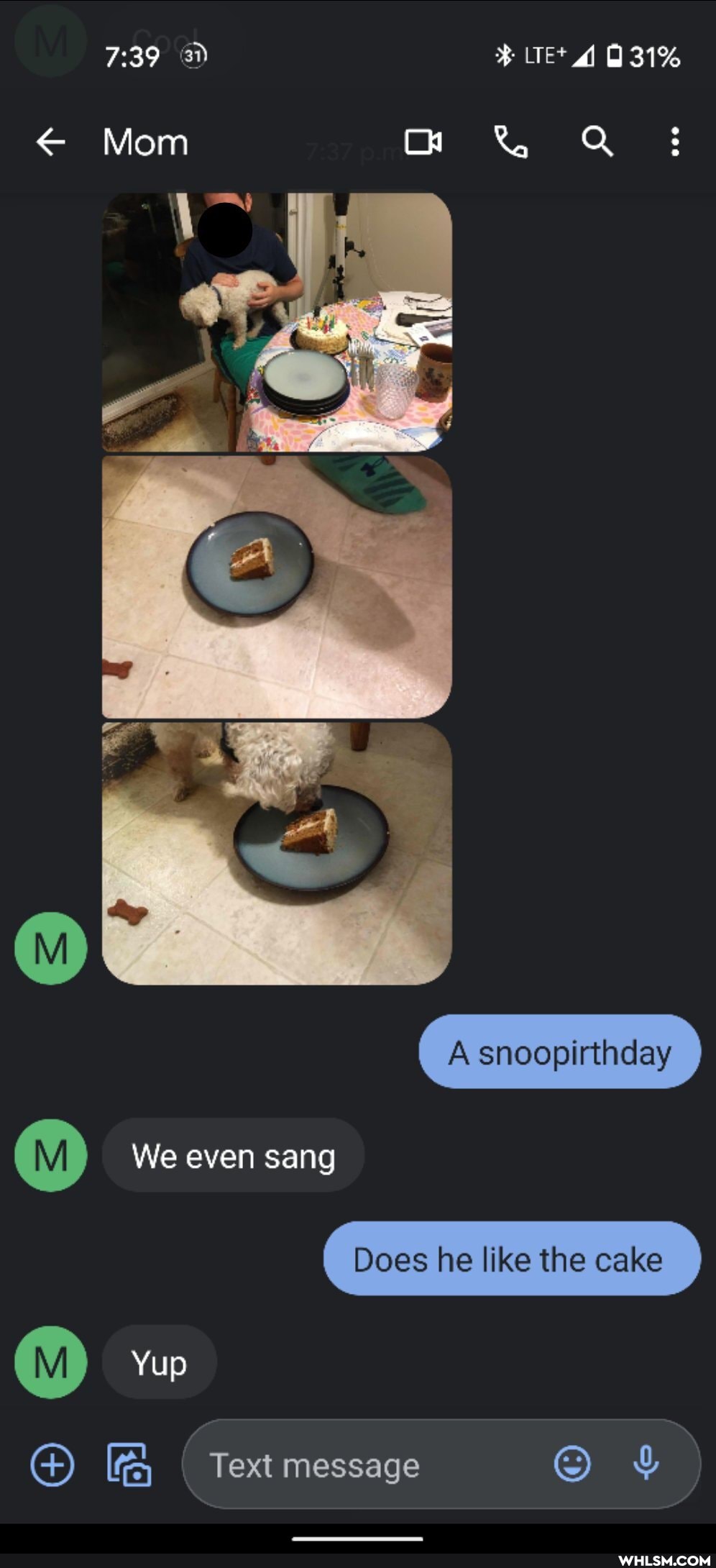 7239 31%
Mom &
A snoopirthday
We even sang
Does he like the cake
Yup
Text message &