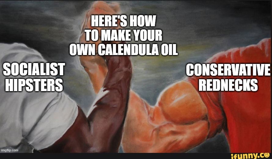 /HERES HOW
MAKE YOUR CALENDULA OIL SOCIALIST CONSERVATIVE
REDNECKS