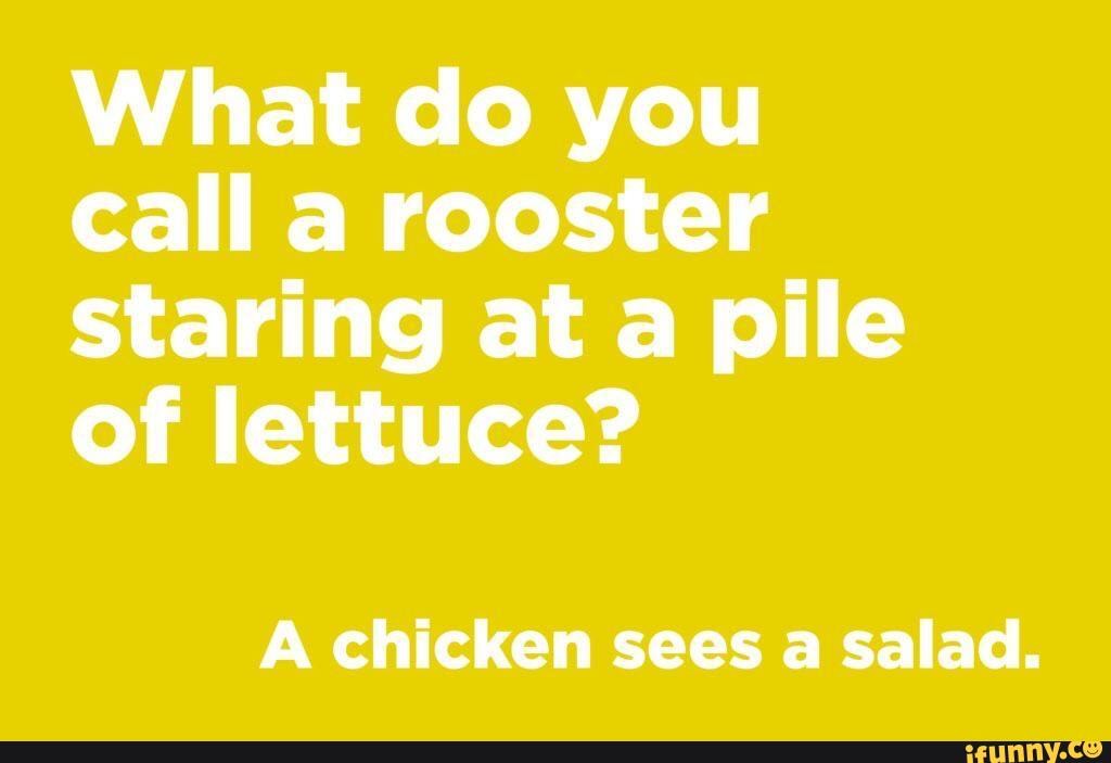 what-do-you-call-a-rooster-staring-ata-pile-of-lettuce-a-chicken-sees