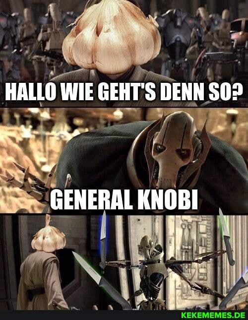 HALLO WIE GEHT'S DENN 50?
GENERAL KNOBI