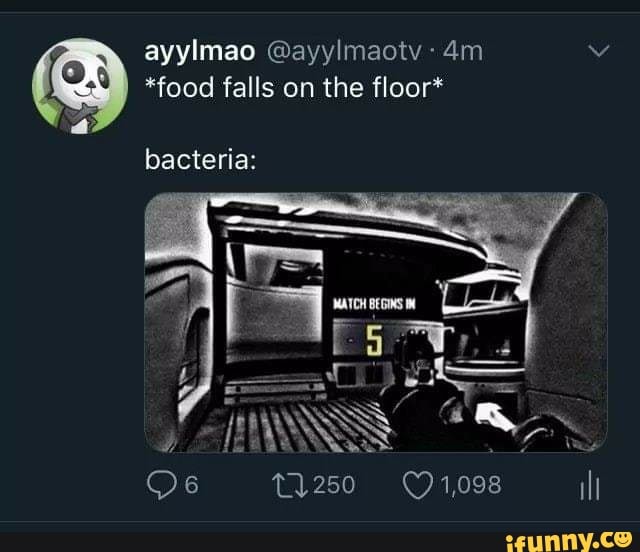 ayylmao @ayylmaotv
*food falls on the floor*