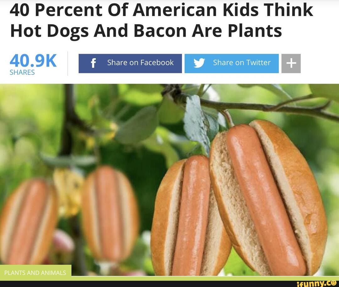 40-percent-of-american-kids-think-hot-dogs-and-bacon-are-plants-40-9k-i