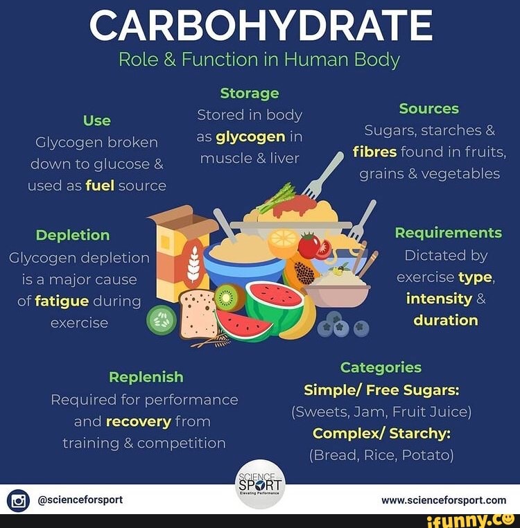 CARBOHYDRATE Role & Function in Human Body Storage Use Stored in body