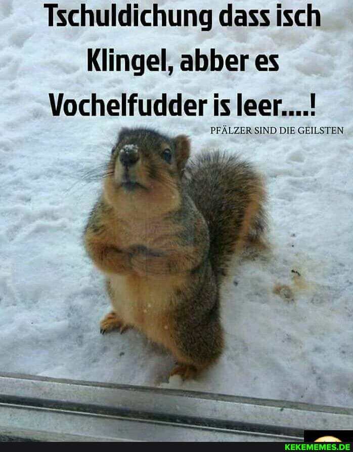 Tschuldichung dass isch
Klingel, abber es
Vochelfudder is leer....!
PFÄLZER SIND DIE GEILSTEN