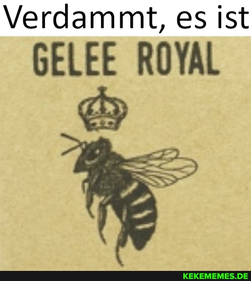 Verdammt, es ist
GELEE ROYAL