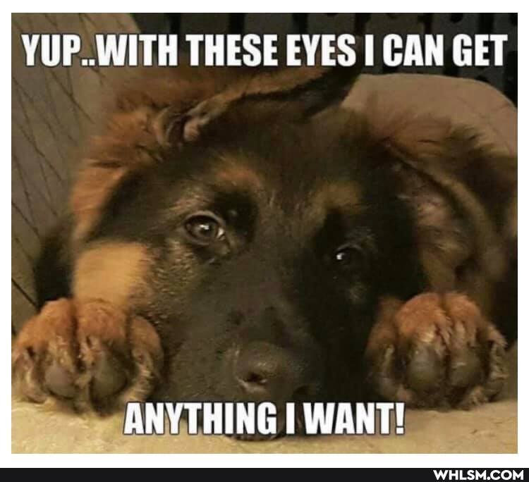 VUP..WITH THESE EYES CAN GET
ANYTHING WANT!